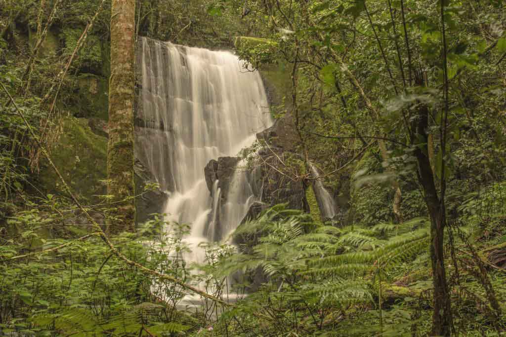 Zimbabwe Eastern Highlands